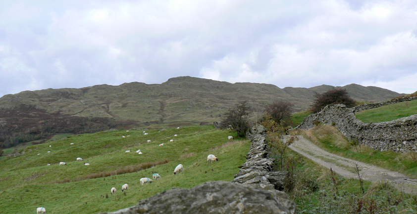 Wansfell Wansfell